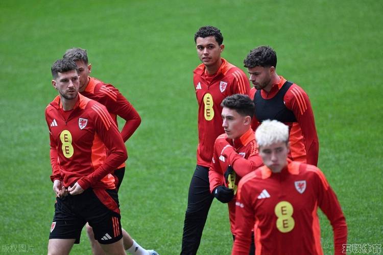 开云体育官方网站-欧预赛战力对比：球队实力悬殊的简单介绍