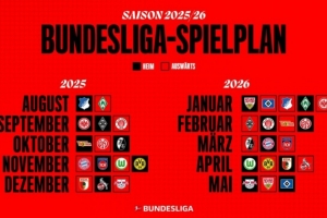 霍芬海姆不敌对手需全队反思的简单介绍 霍芬海姆不敌对手需全队反思的简单介绍