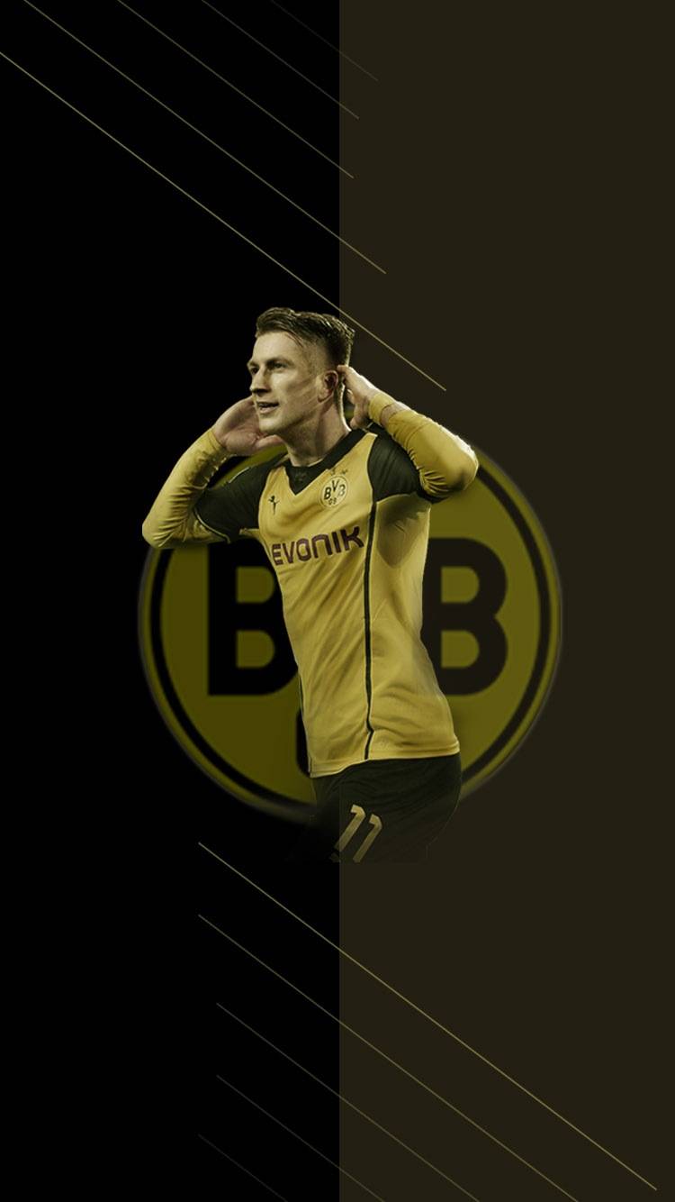 开云官网-包含里斯本新增一胜利，晋级曙光初现的词条