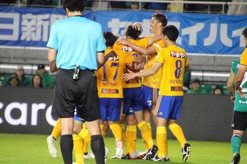 热血场面，球员实力角逐激烈的简单介绍